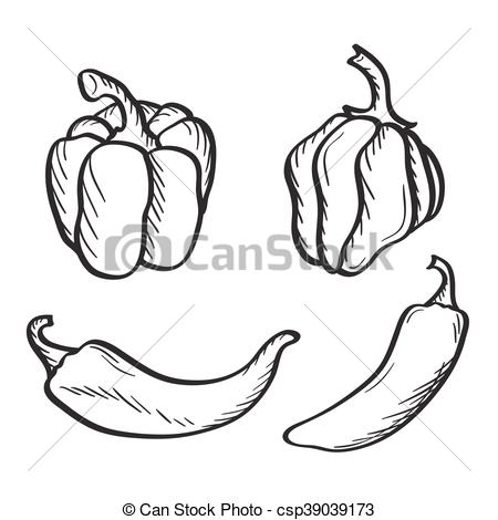 450x470 Yand Drawn Chili Peppers And Paprika. Artistic Hand Drawn Sketches