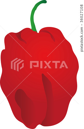 292x450 Vector, Vectors, Habanero