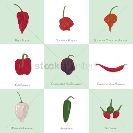 450x450 Free Habanero Pepper Stock Vectors Stockunlimited