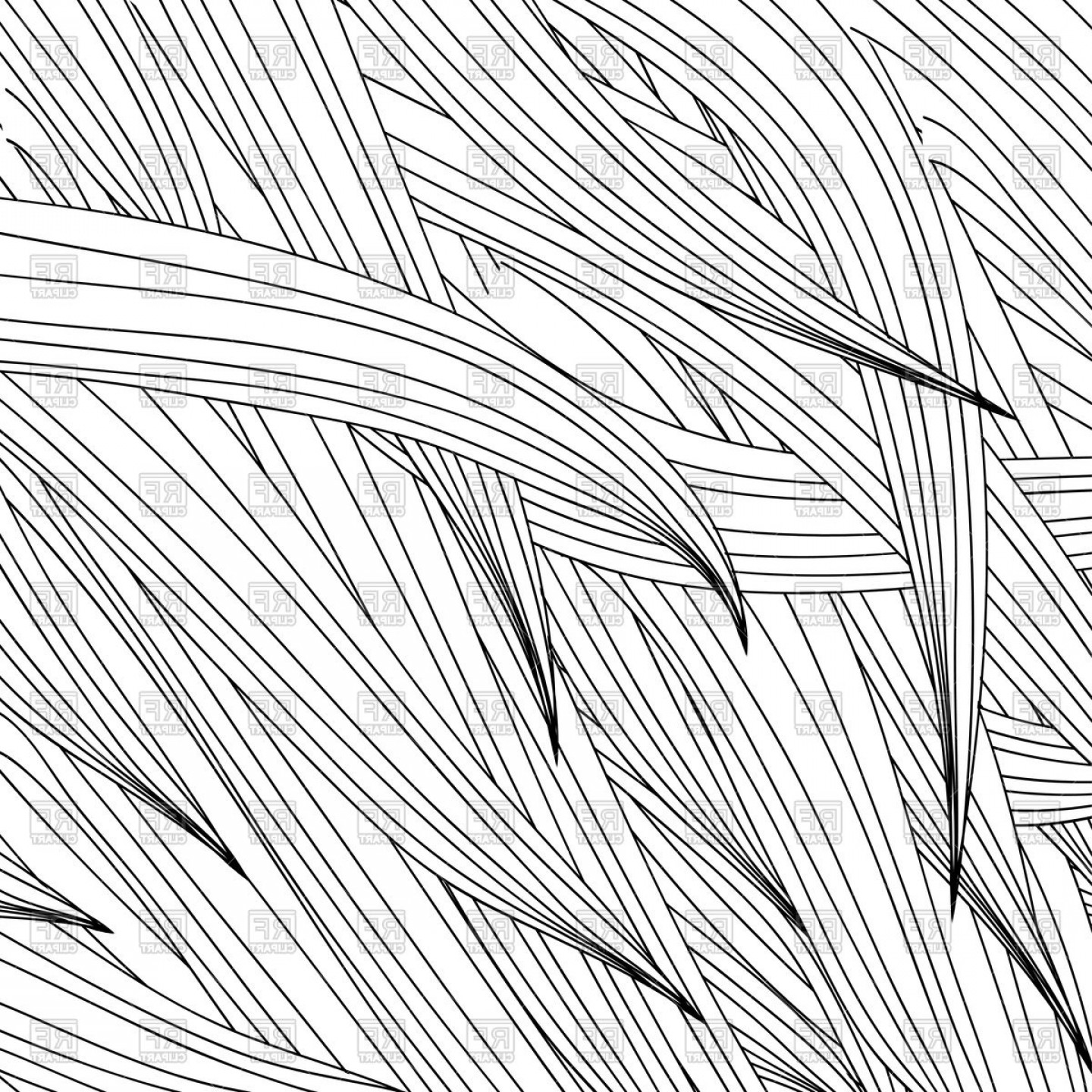 1440x1440 White Hair Background Vector Clipart Orangiausa