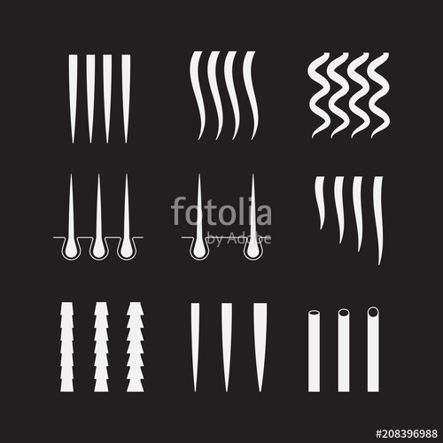 500x500 Vector Illustration Of A Hair Texture Chart. Hair Types Icon Set