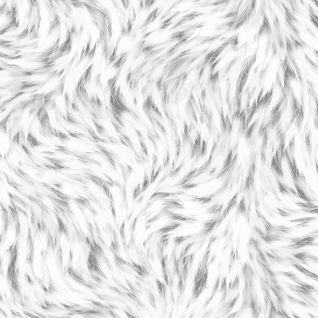 626x626 White Animal Hair Texture Vector Free Download