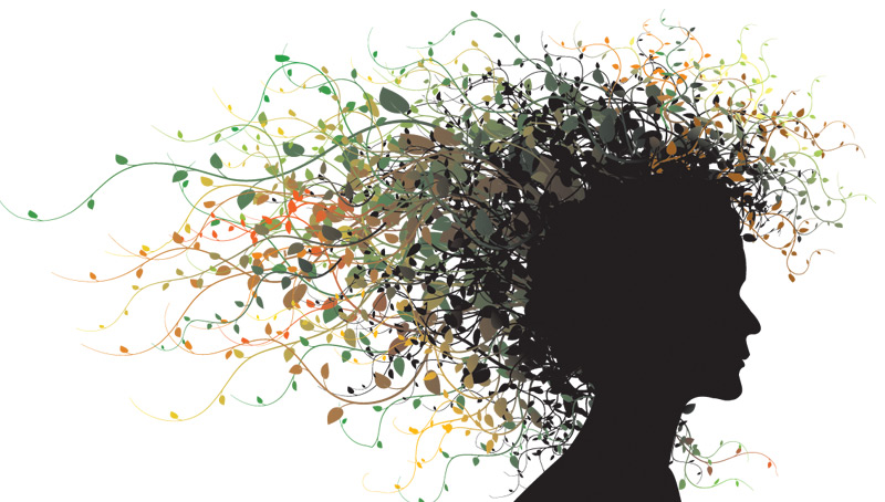 800x454 Border Hair Vector Free Download