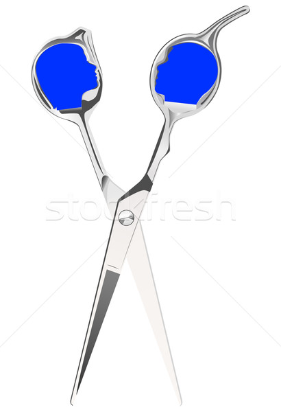 410x600 Hairdresser Scissors Vector Illustration Miro Kovacevic