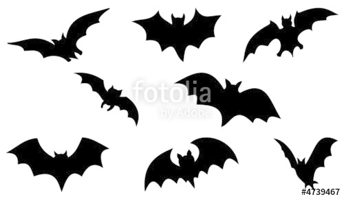 500x290 Halloween Bats Stock Image And Royalty Free Vector Files On