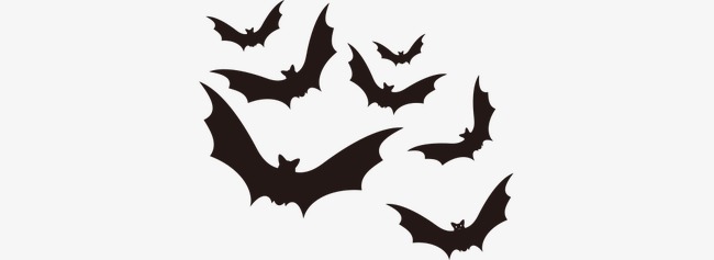 650x237 Vector Halloween Scary Black Bats, Halloween Vector, Black Vector