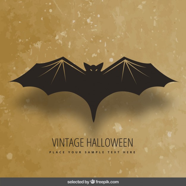 626x626 Bats Vectors, Photos And Psd Files Free Download