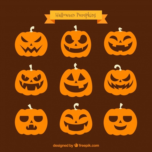 626x626 Pumpkin Vectors, Photos And Psd Files Free Download