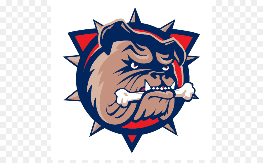 900x560 Firstontario Centre Hamilton Bulldogs Ontario Hockey League