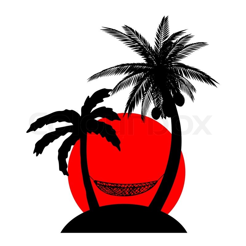 800x800 Palms, Hammock And Sun