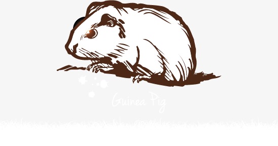 548x288 Vector Hamster, Hamsters, Black And White, Hand Painted Png And