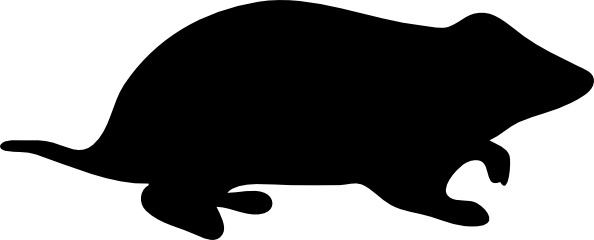 594x240 Vector Hamster Free Vector Download (13 Free Vector) For
