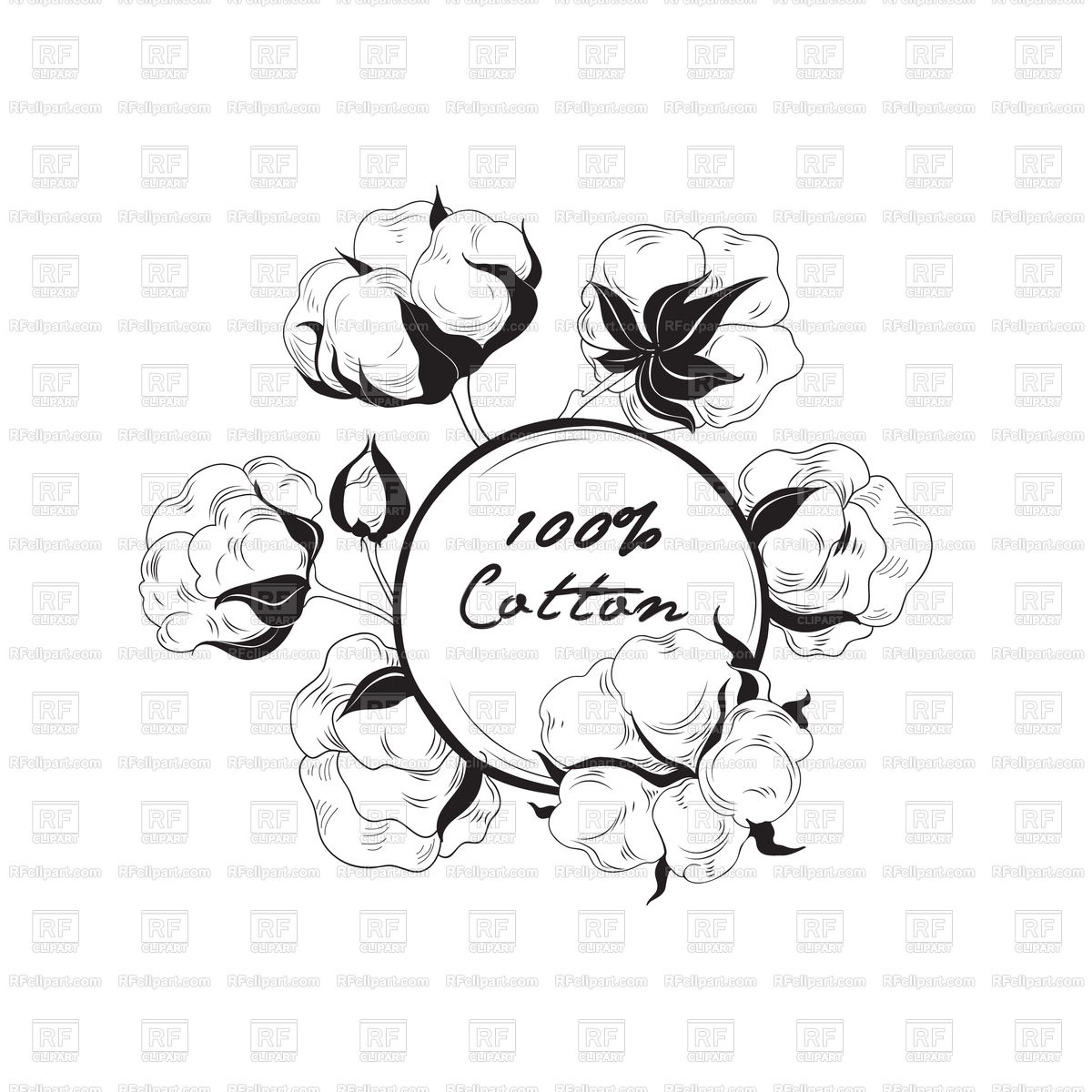 1200x1200 Cotton Flower. Hand Drawn Floral Frame. Vector Image Vector