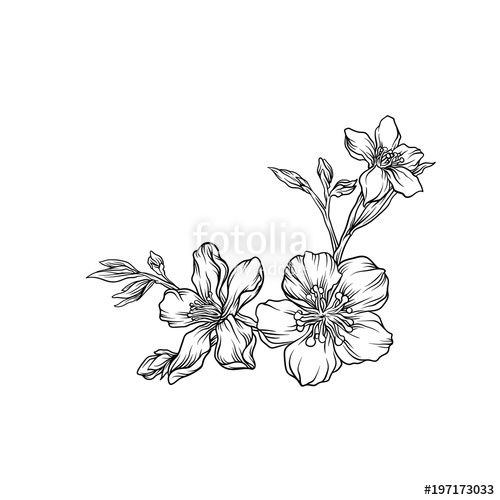 500x500 Hand Drawn Flower Branch, Monochrome Floral Design Element Vector