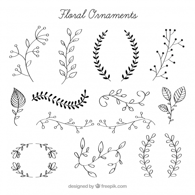 626x626 Pack Of Hand Drawn Floral Ornaments Vector Free Download