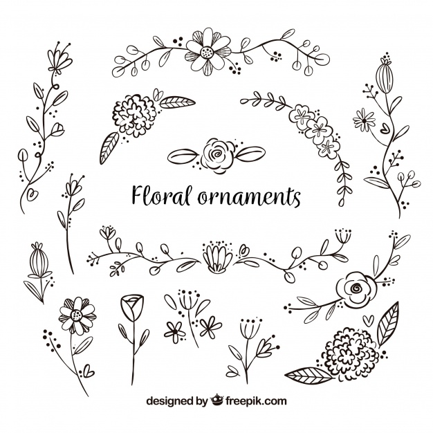 626x626 Set Of Hand Drawn Flower Ornaments Vector Free Download