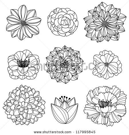 450x470 Vector Collection Of Hand Drawn Flowers By Pinkpueblo, Via
