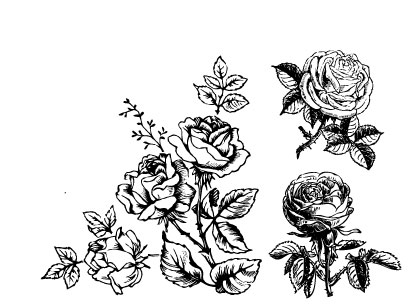 414x308 Hand Draw Flower Vector 01 Free Download