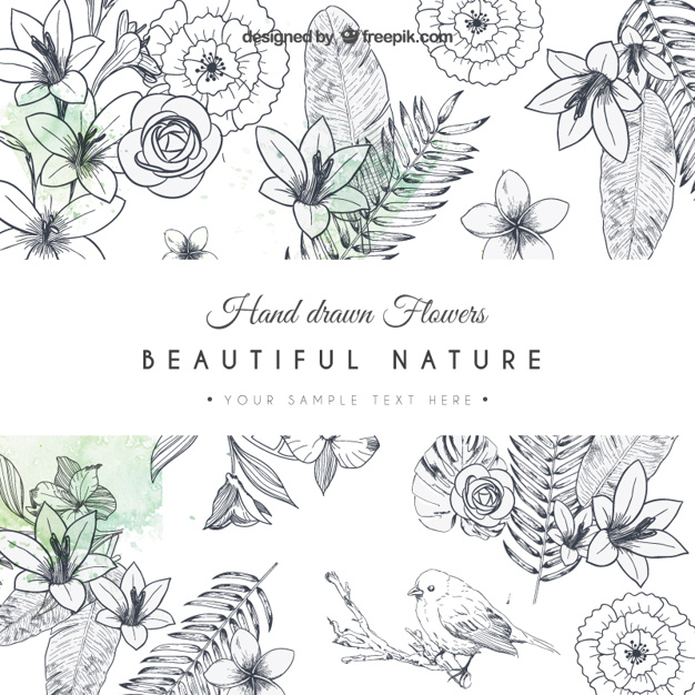 626x626 Hand Drawn Flowers Card Vector Free Download