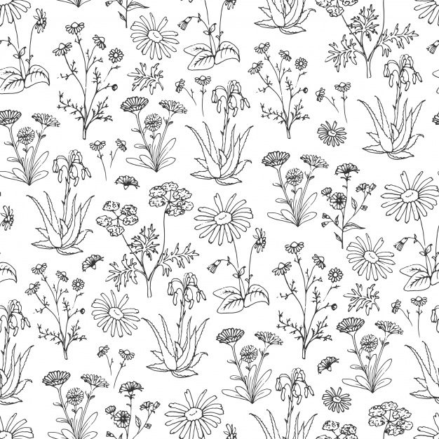 626x626 Hand Drawn Flowers Pattern Background Vector Free Download