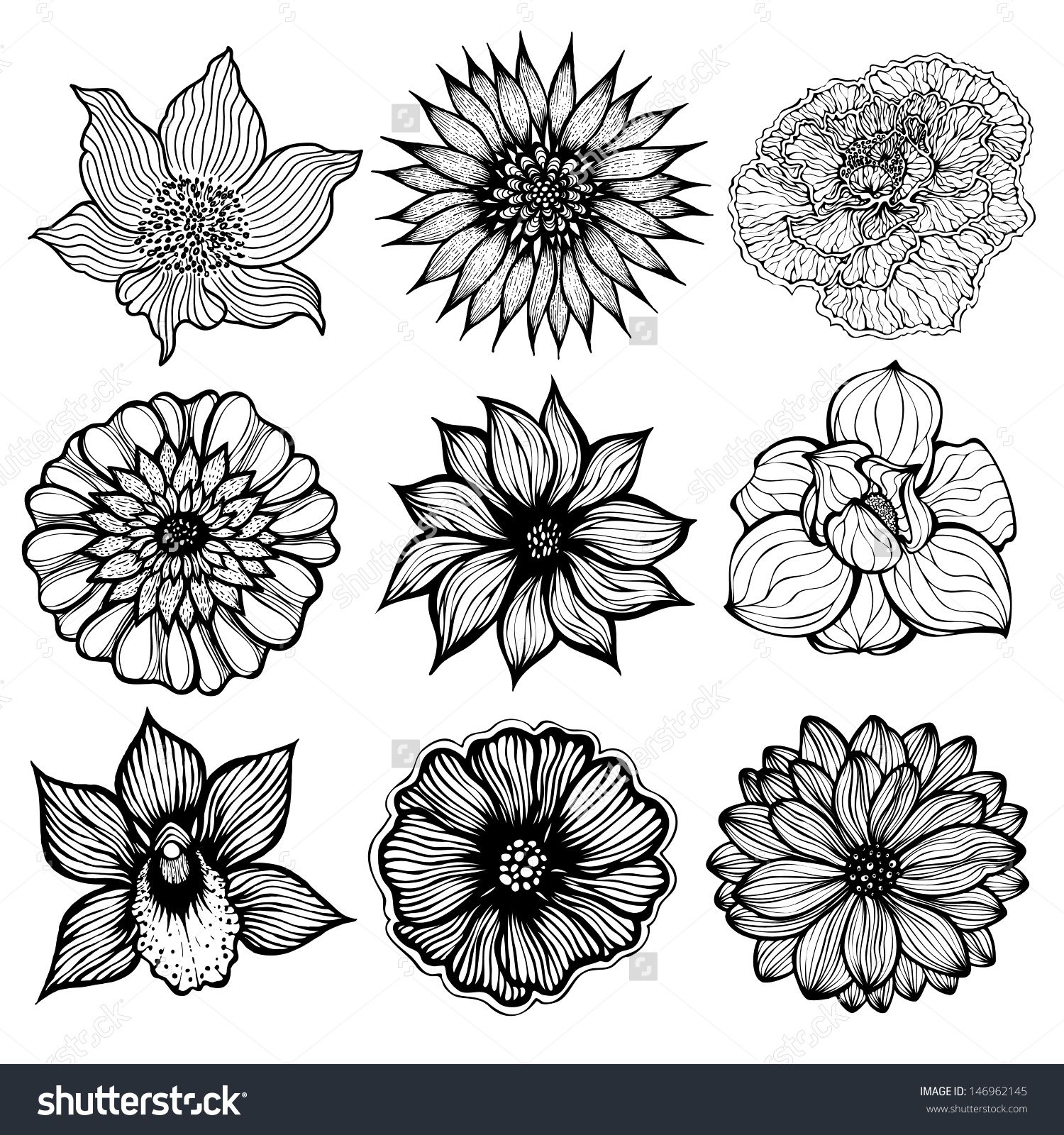 1500x1600 Set Of 9 Different Hand Drawn Flowers, Black And White Isolated