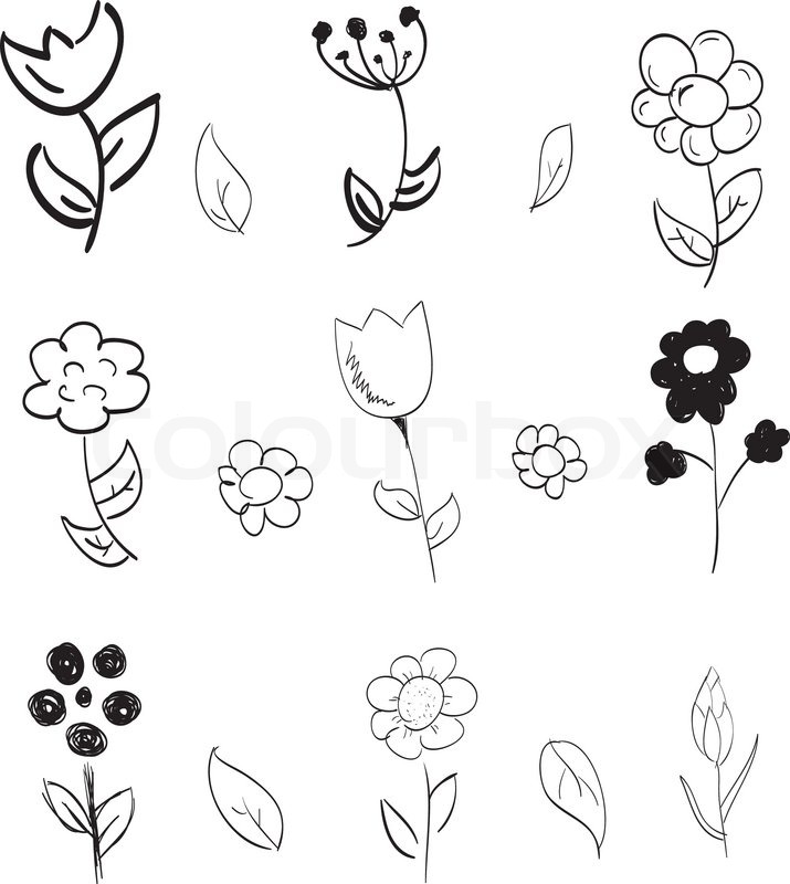 715x800 Set Of Hand Drawn Flowers Stock Vector Colourbox