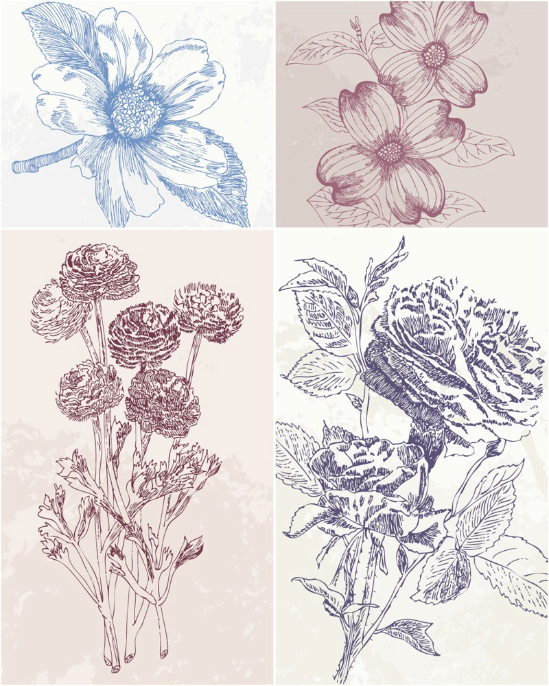 800x1000 Vintage Hand Drawn Flowers Vector Vector Graphics Blog