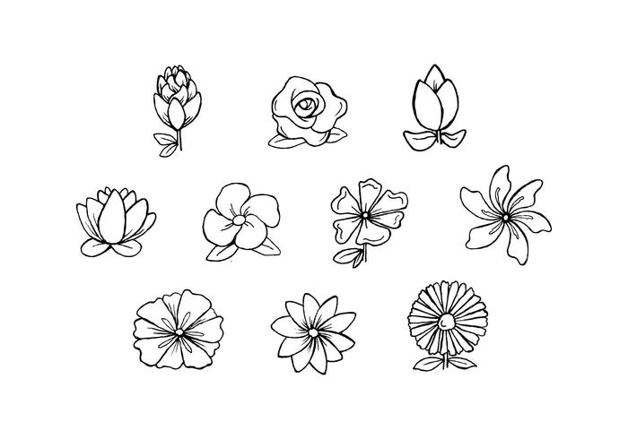 700x490 Free Flowers Hand Drawn Vector