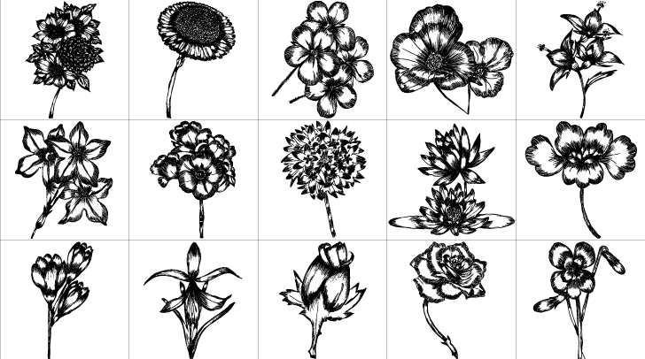 728x406 Free Free Vector Hand Drawn Flowers Pack Psd Files, Vectors