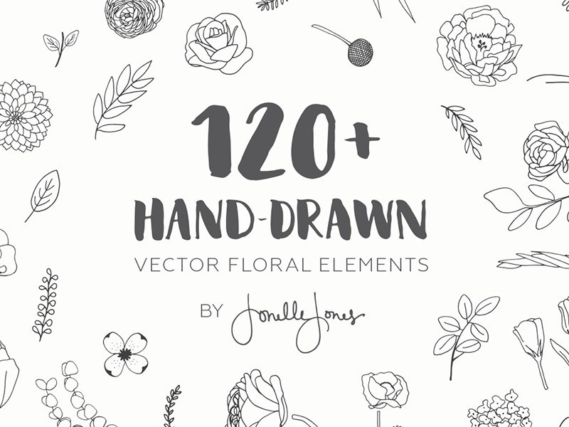 800x600 Hand Drawn Vector Floral Elements By Jonelle Jones