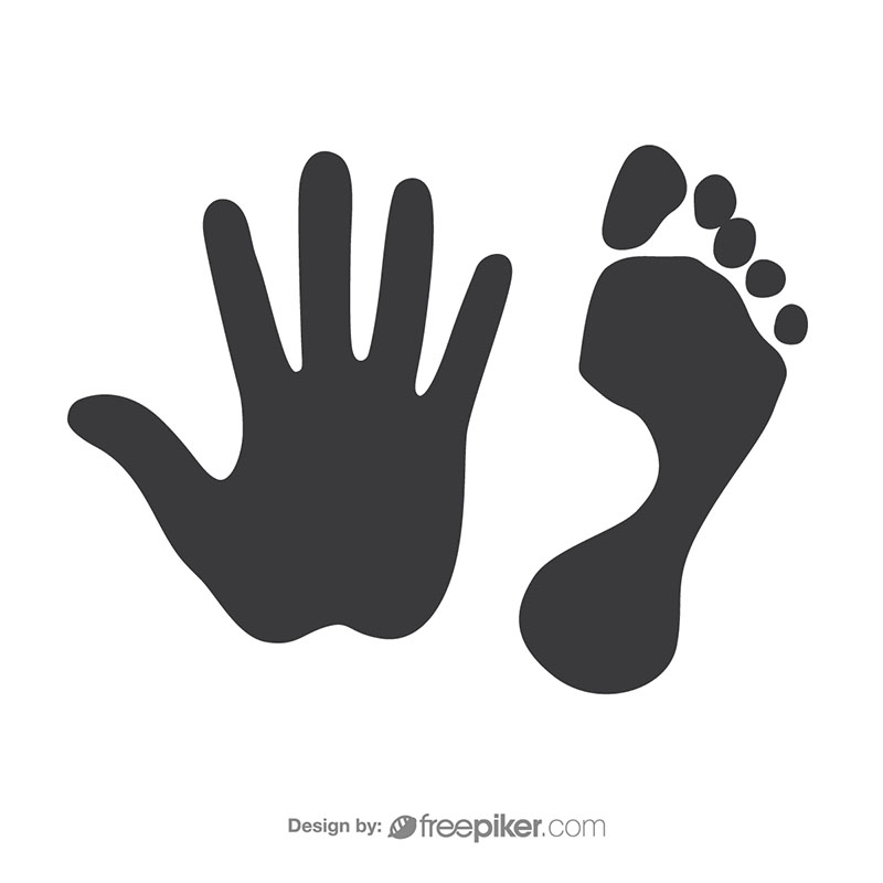 800x800 Freepiker Footprint Amp Handprint Vector