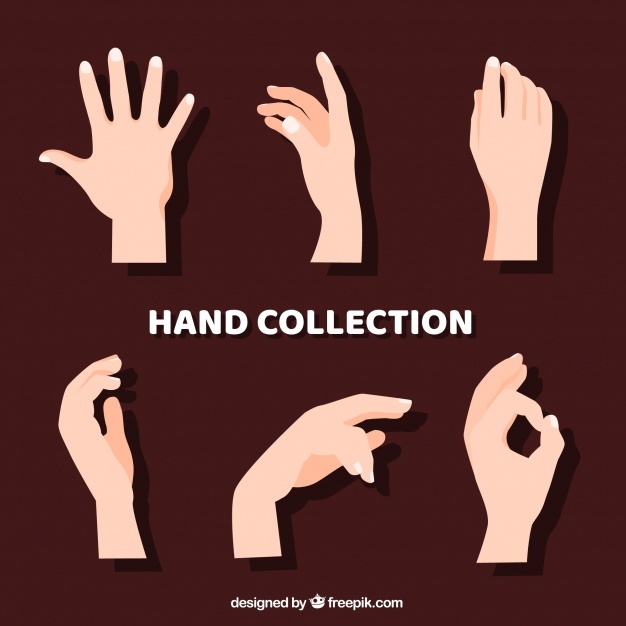 626x626 Hand Vectors, Photos And Psd Files Free Download