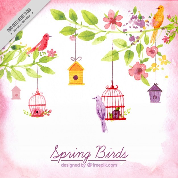 626x626 Ai] Watercolor Hand Paintd Spring Birds Vector Free Download