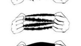 280x158 Ripping Shirt Vector Enam T Shirt