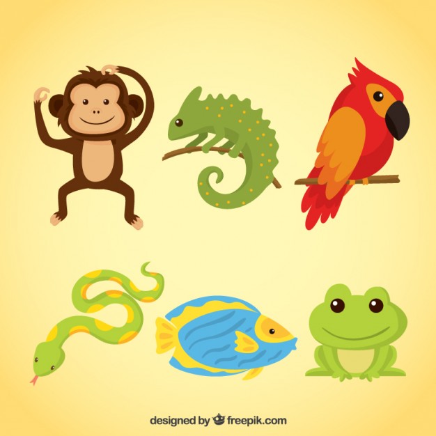 626x626 Monkey Vectors, Photos And Psd Files Free Download