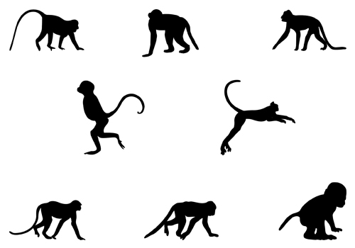 500x350 Spider Monkey Clipart Silhouette