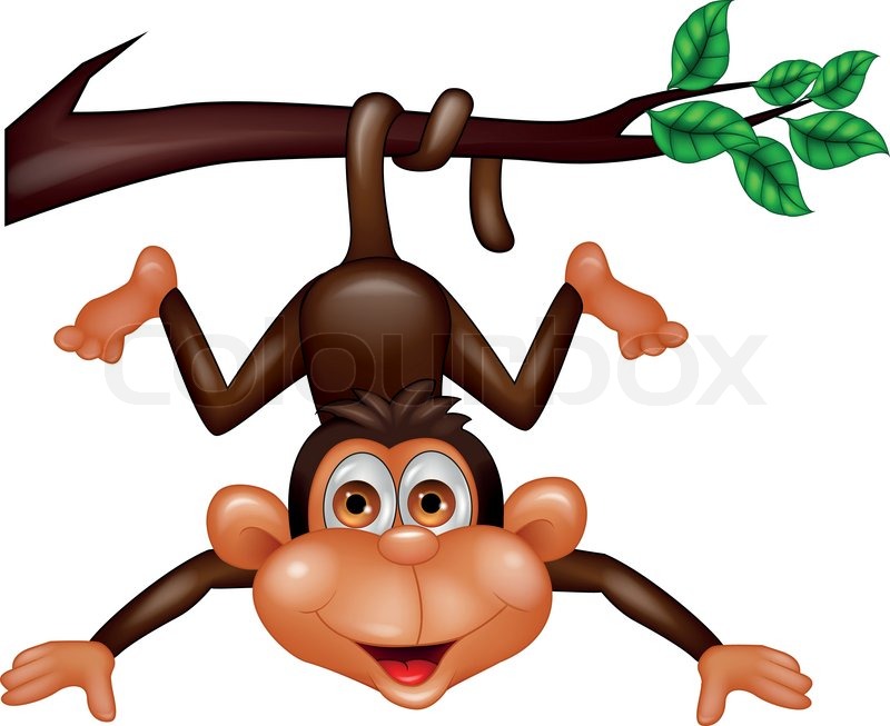 800x653 Vector Illustration Of Funny Monkey Cartoon Hanging On Tree Branch