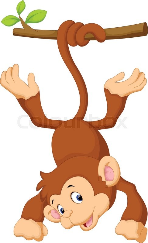 487x800 Vector Illustration Of Cute Monkey Cartoon Hanging Stock Vector
