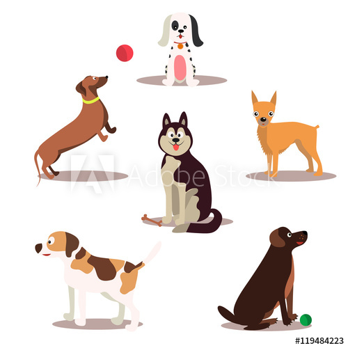 500x500 Happy Dog Vector Characters On White Background. Dogs Standing And