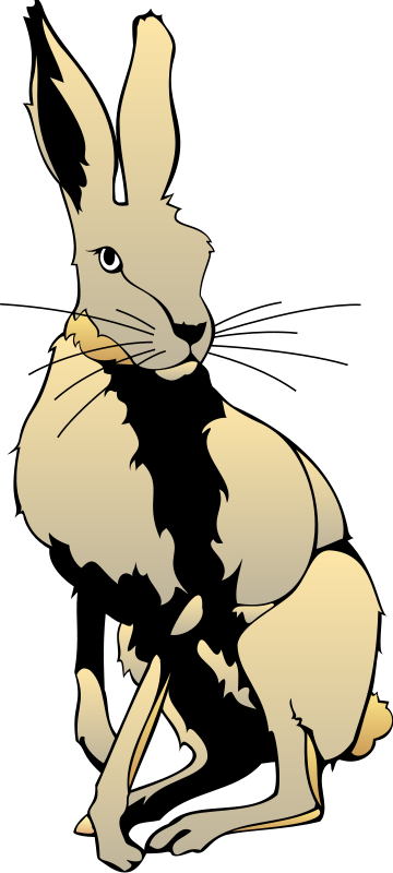 360x800 Hare Free Vector 4vector