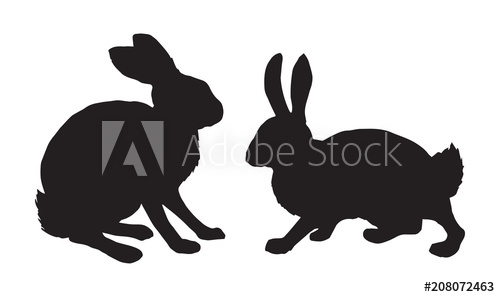 500x297 Hare. Vector Drawing
