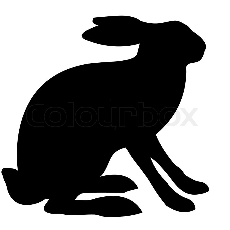 799x800 Illustration Hare Isolated On White Background Stock Vector