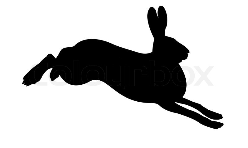 800x479 Silhouette Of The Rabbit On White Background Stock Vector