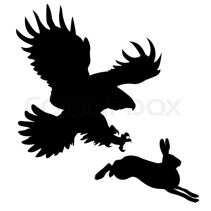 800x800 Silhouette Of The Ravenous Bird Attacking Hare Stock Vector