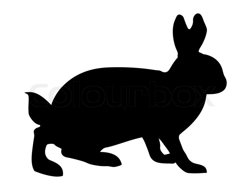800x608 Vector Illustration Hare On White Background Stock Vector