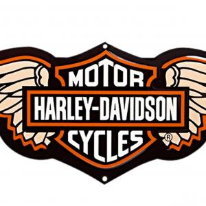 300x300 Top Harley Davidson Skull Logo Vector File Free Rongholland