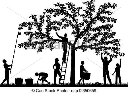 450x327 Fruit Harvest. Editable Vector Silhouettes Of A Family Harvesting