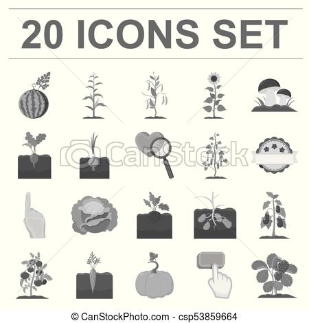 450x470 Plant, Vegetable Monochrome Icons In Set Collection For Design