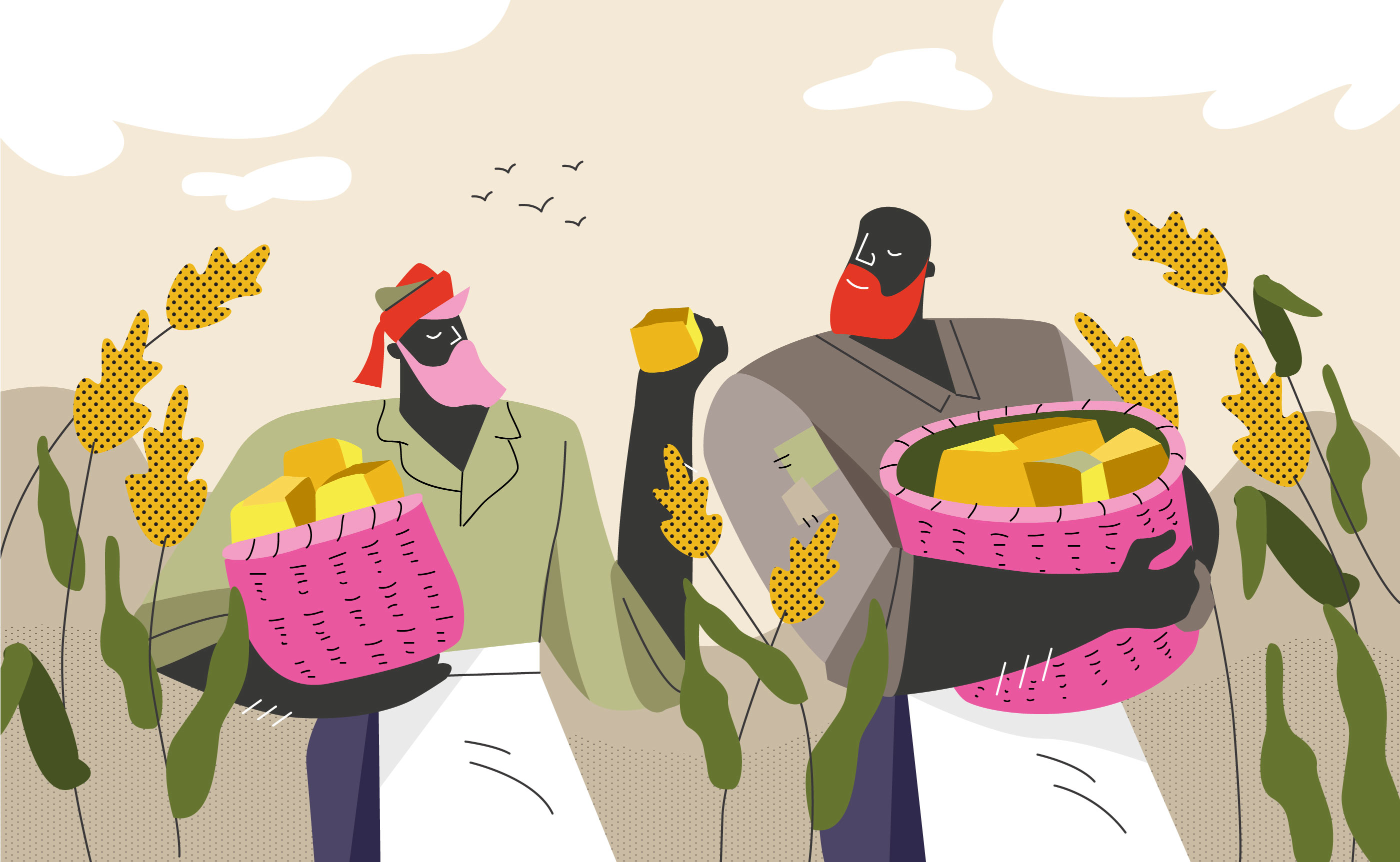 2800x1725 Sorghum Farmer Harvest Vector Flat Illustration