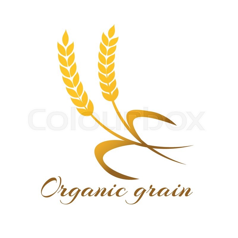 800x800 Wheat Ear Symbols For Logo Design. Agriculture Grain, Organic
